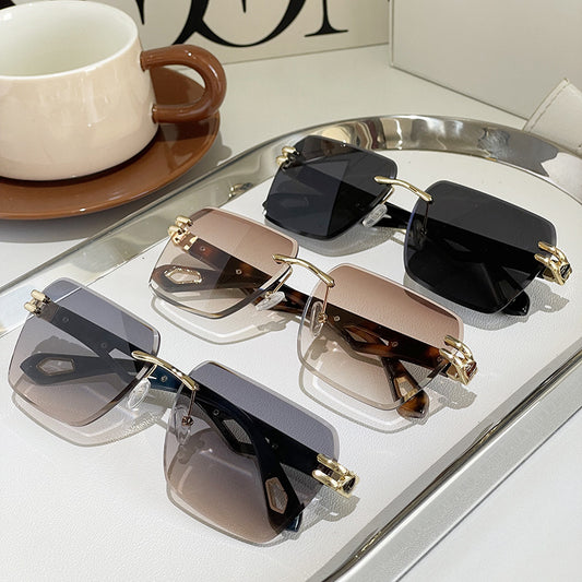 Street Shooting Ins Trendy Trimming Sunglasses